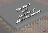 The Tools and Features of Adobe Photoshop