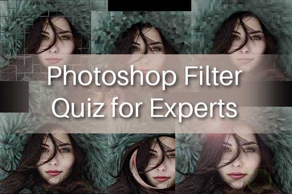 Photoshop Filter Quiz for Experts