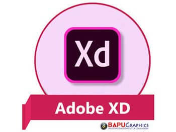 Learn Adobe XD Course at Bapu Graphics